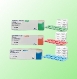 Rybelsus (Semaglutide)